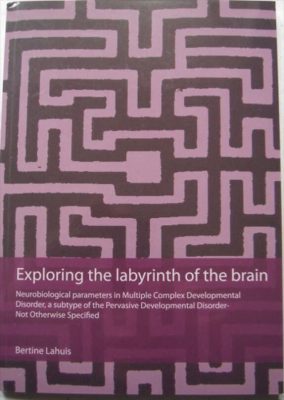 Cover Exploring Labyrinth Brain