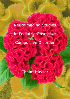 Cover Neuroimaging Studies