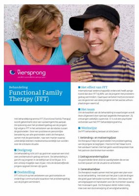 Functional Family Therapy fft folder / brochure Viersprong