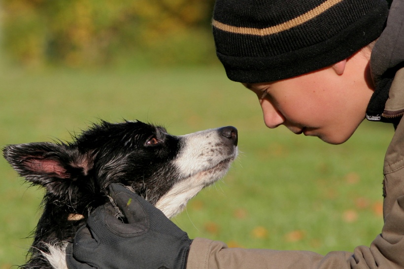 Jongen hond lief